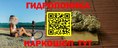 твердый Шелехов