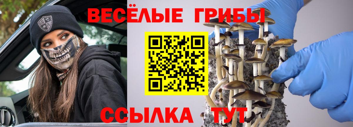 Галлюциногенные грибы Cubensis Барабинск