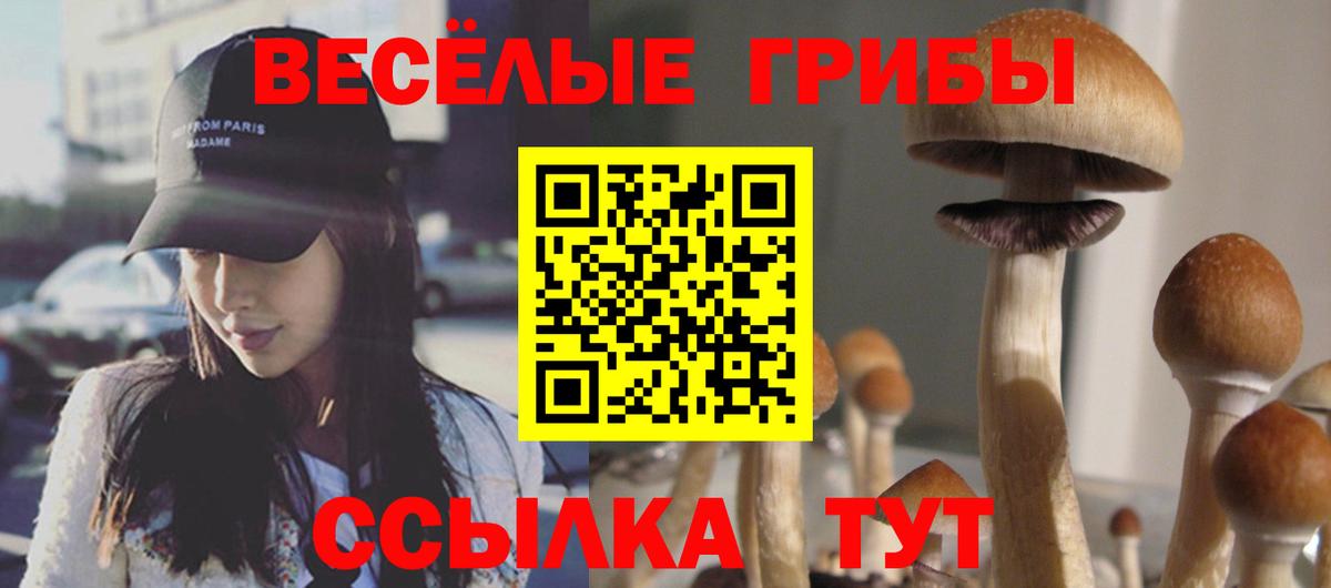 Псилоцибиновые грибы мицелий  Вход с VPN  Псилоцибиновые грибы MAGIC MUSHROOMS  наркошоп  Барабинск 